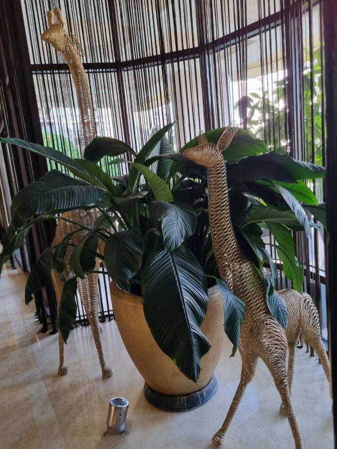 Royal Beach Apartment Barcello B Sunny Beach Esterno foto
